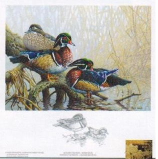 2018 «Teintes d’automne – Canard branchu » de Pierre Girard - LL: lower-left   IG