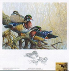 2018 «Teintes d’automne – Canard branchu » de Pierre Girard - LL: lower-left   IG