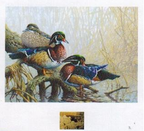 2018 «Teintes d’automne – Canard branchu » de Pierre Girard - LL: lower-left   IG