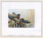 2018 «Teintes d’automne – Canard branchu » de Pierre Girard - LL: lower-left   IG