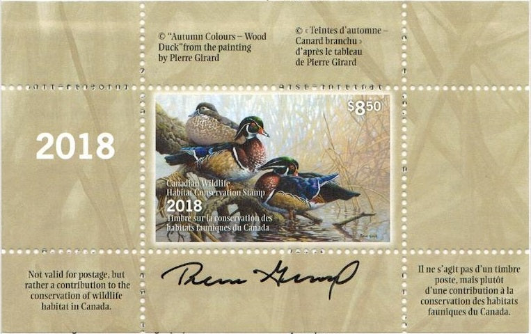 2018 «Teintes d’automne – Canard branchu » de Pierre Girard - LL: lower-left   IG