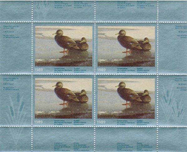 1989 Canards Noirs de Claudia d’Angelo