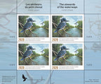 2020 The stewards of the waterways by Pierre Girard