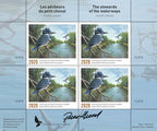2020 The stewards of the waterways by Pierre Girard