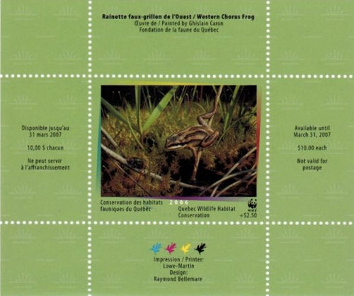 2006 Western Chorus Frog by Ghislain Caron