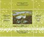 2009 Oie des neiges de Pierre Girard