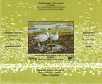 2009 Oie des neiges de Pierre Girard