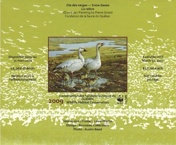 2009 Oie des neiges de Pierre Girard