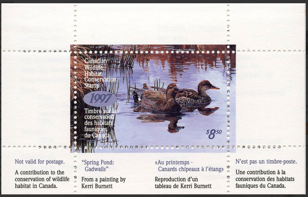 1997 Canards chapeaux de Kerri Burnett