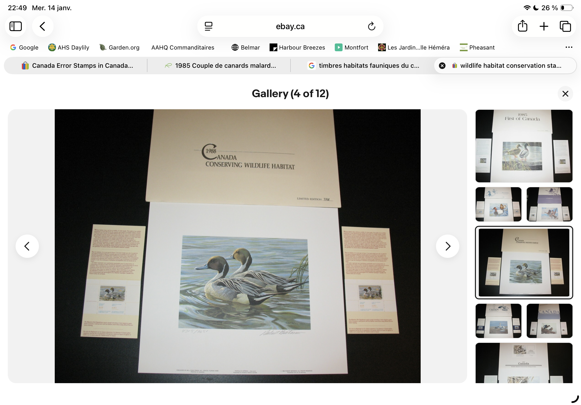 1988 Canards pilets de Robert Bateman