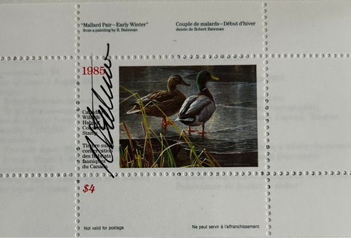 1985 Couple de canards malards de Robert Bateman