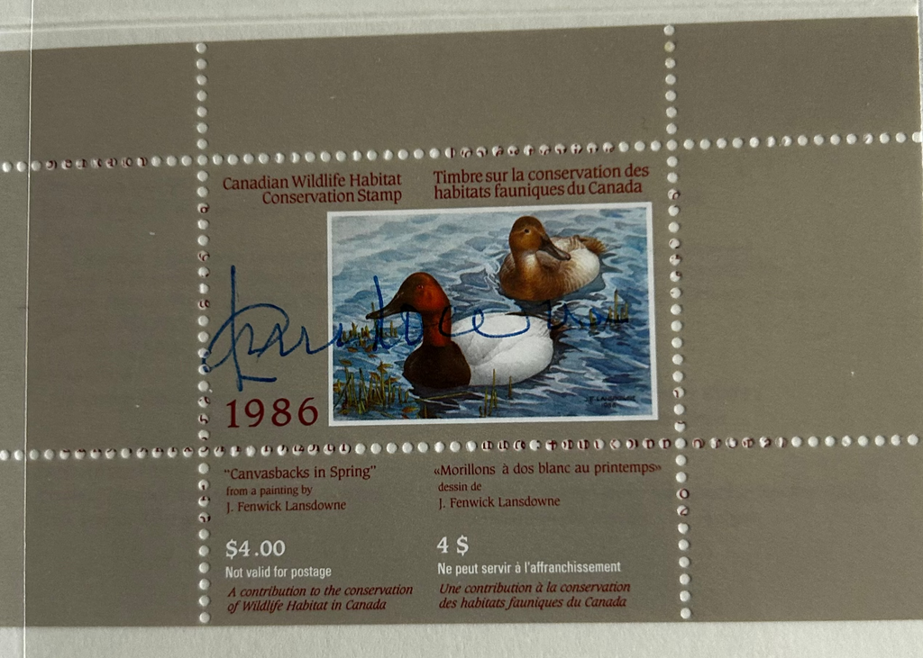 1986 White-backed Morillons by J. Fenwick Lansdowne