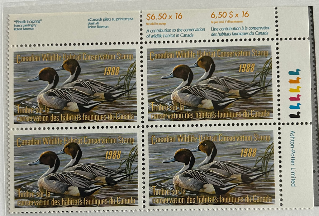 1988 Canards pilets de Robert Bateman