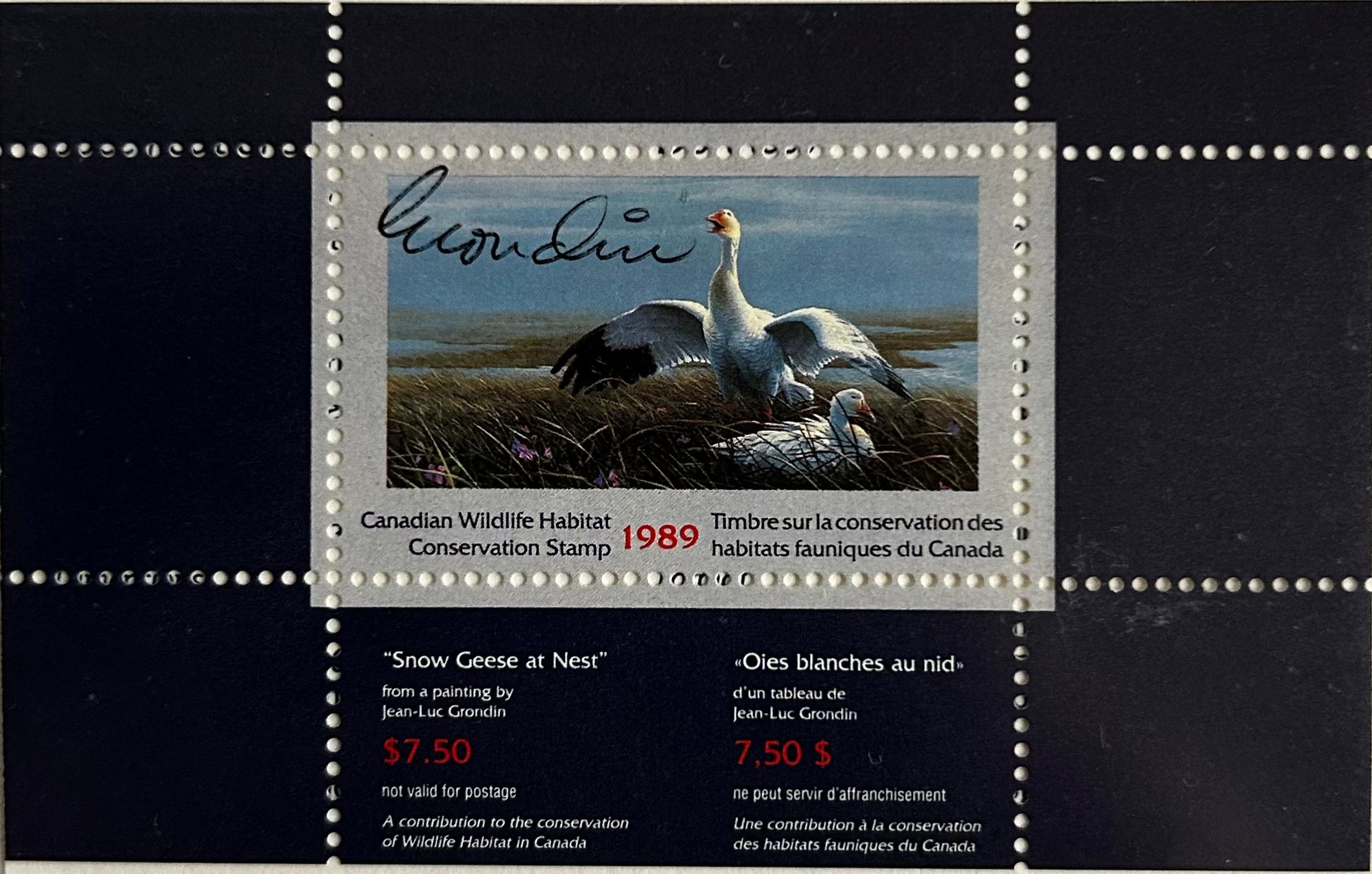 1989 Oies blanches de Jean-Luc Grondin