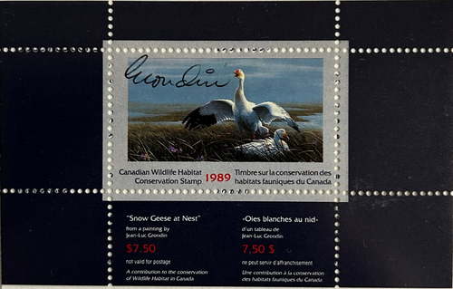 1989 Oies blanches de Jean-Luc Grondin