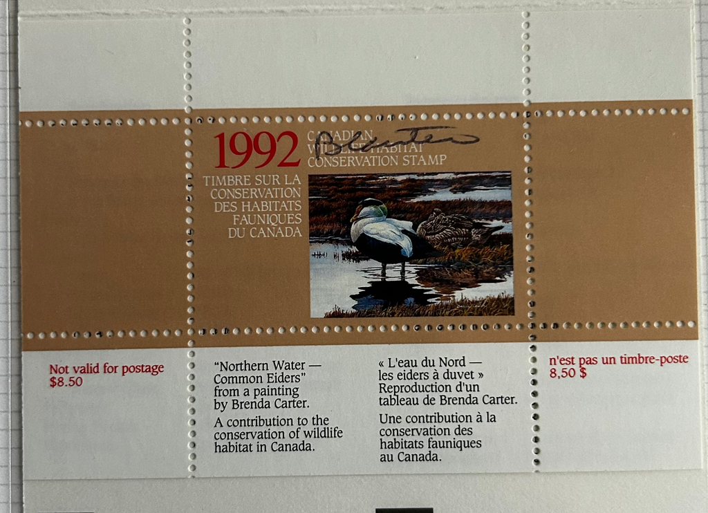 1992 Eider à duvet de Brenda Carter