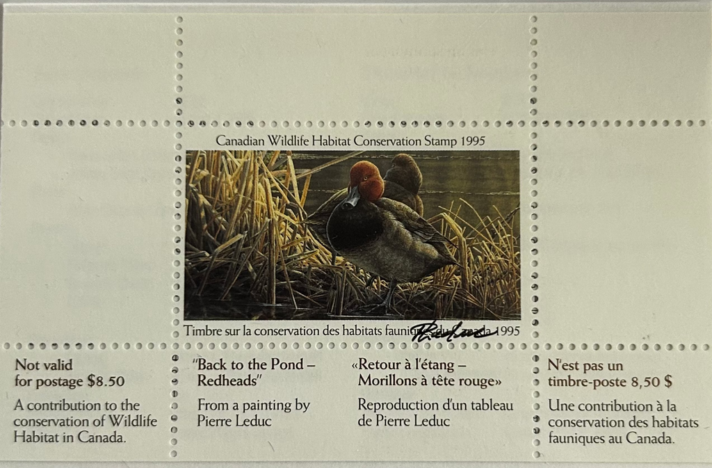 1995 Morillons à tête rouge de Pierre Leduc
