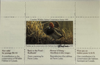 1995 Morillons à tête rouge de Pierre Leduc