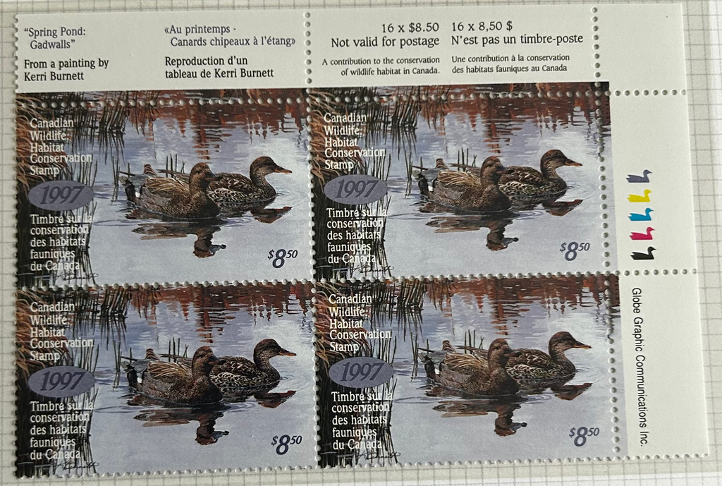 1997 Canards chapeaux de Kerri Burnett