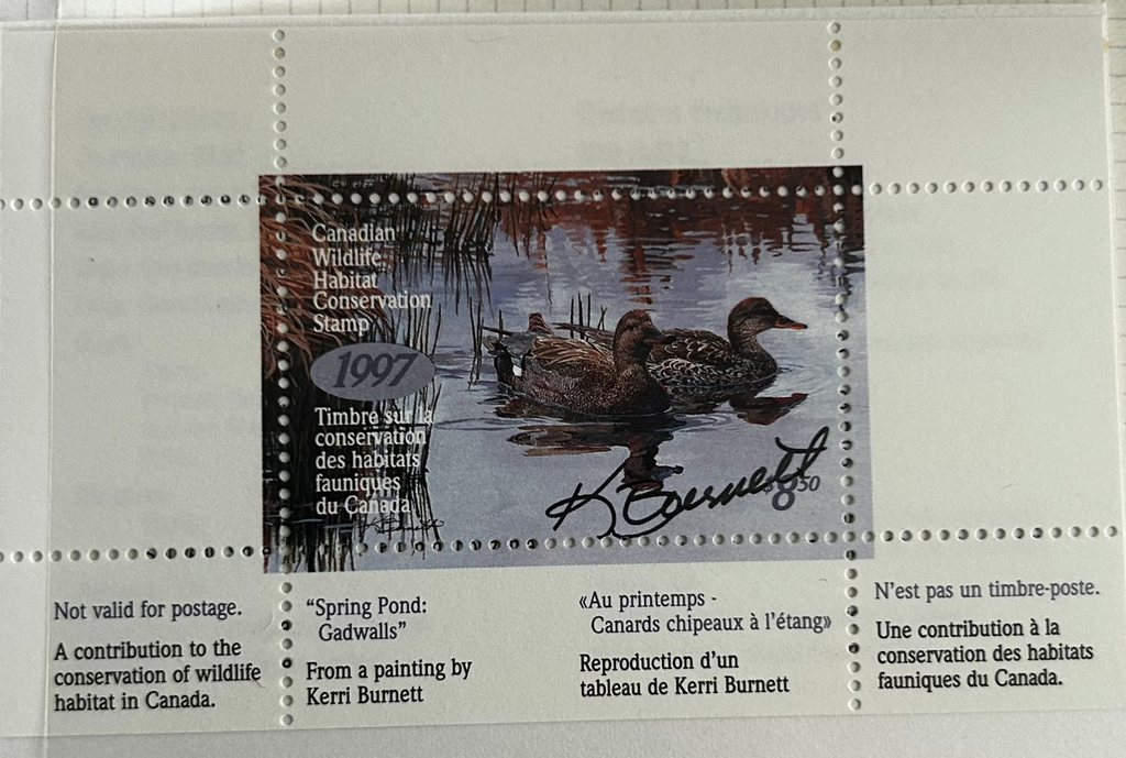 1997 Canards chapeaux de Kerri Burnett