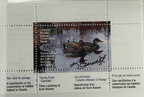 1997 Canards chapeaux de Kerri Burnett