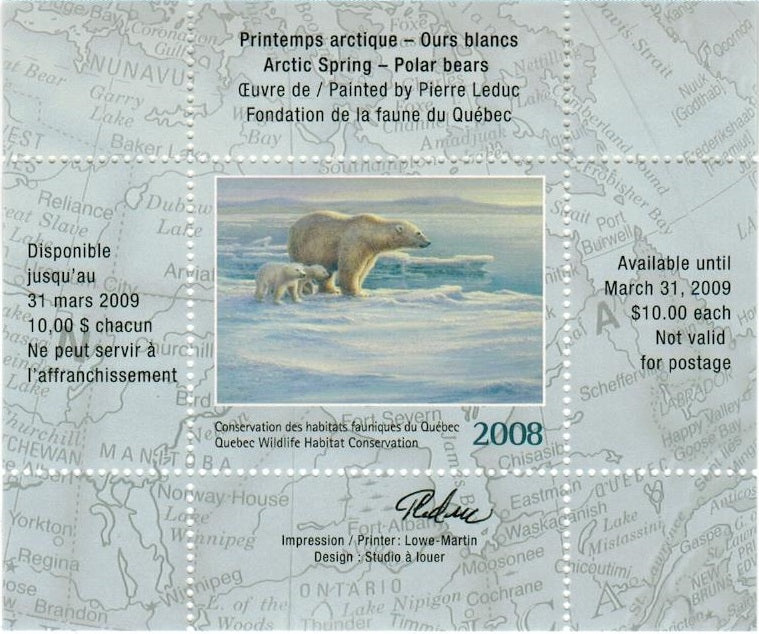 2008 Ours blancs de Pierre Leduc