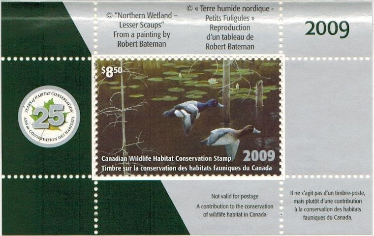 2009 Petits fuligules de Robert Bateman