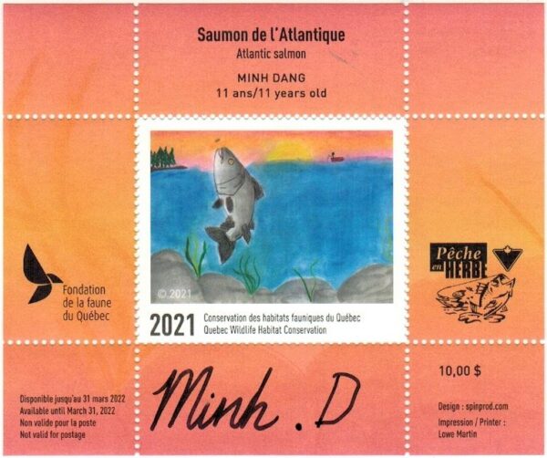 2021 Toujours à l'affut- Renard roux par France Nault