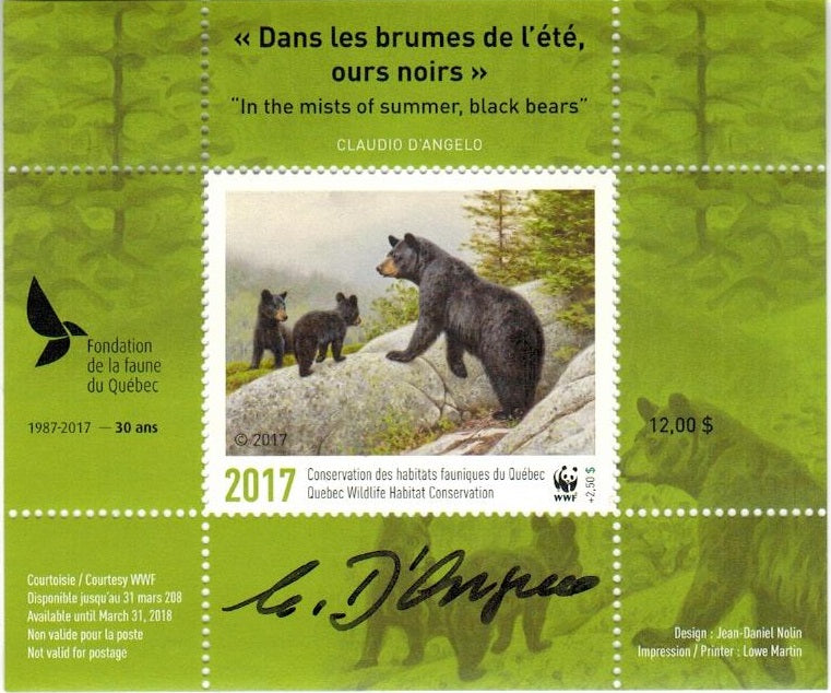 2017 In the mists of summer, black bears by Claudio D’Angelo