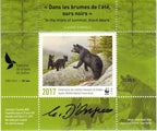 2017 In the mists of summer, black bears by Claudio D’Angelo