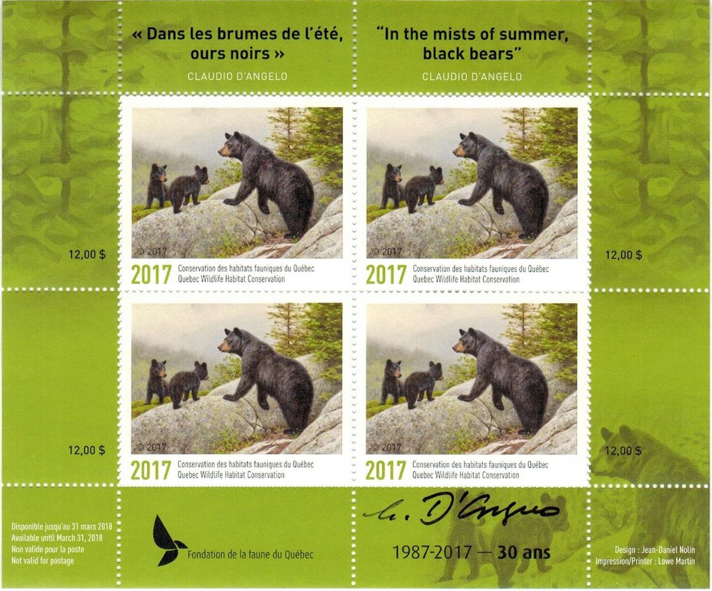 2017 In the mists of summer, black bears by Claudio D’Angelo