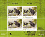 2017 In the mists of summer, black bears by Claudio D’Angelo