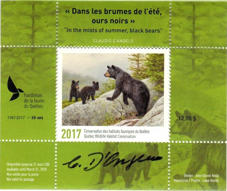 2017 In the mists of summer, black bears by Claudio D’Angelo