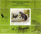2017 In the mists of summer, black bears by Claudio D’Angelo