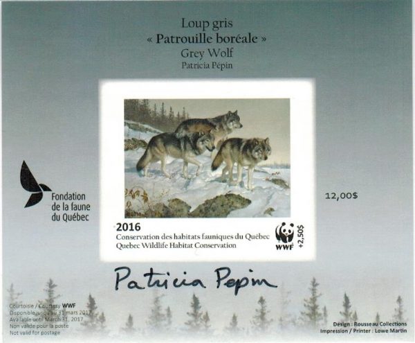 2016 grey Wolf - Patricia Pépin