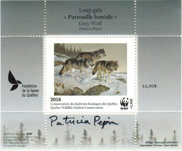 2016 grey Wolf - Patricia Pépin