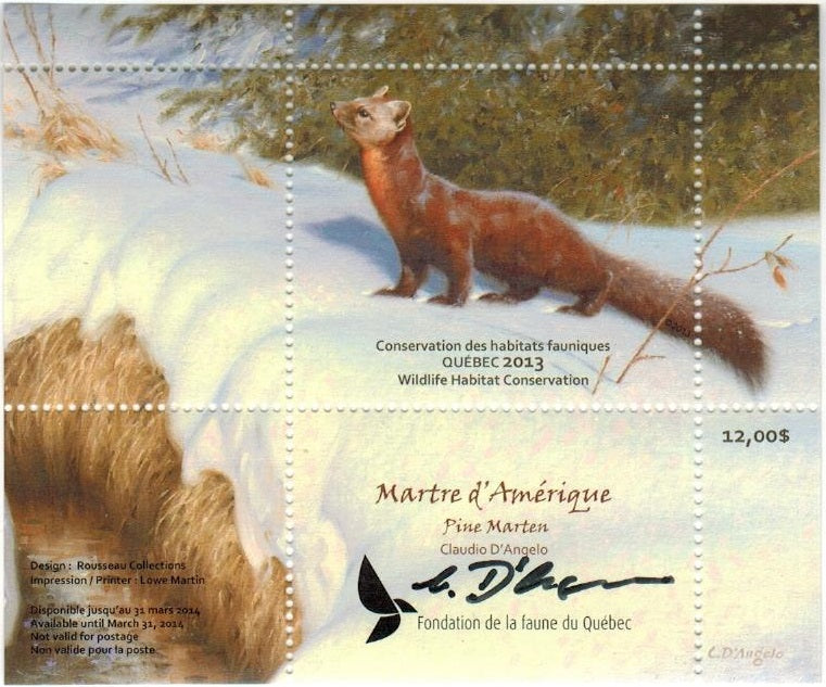 2013 Pine Marten, by Claudio D’Angelo