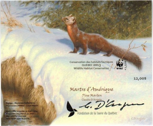 2013 Pine Marten, by Claudio D’Angelo