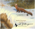 2013 Pine Marten, by Claudio D’Angelo