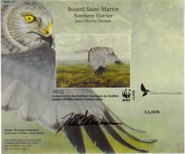 2015 Northern Harrier by Jean-Charles Daumas