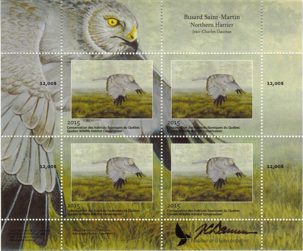 2015 Northern Harrier by Jean-Charles Daumas