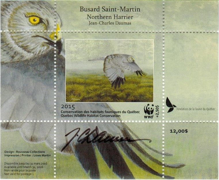 2015 Northern Harrier by Jean-Charles Daumas