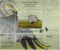 2015 Busard Saint-Martin par Jean-Charles Daumas