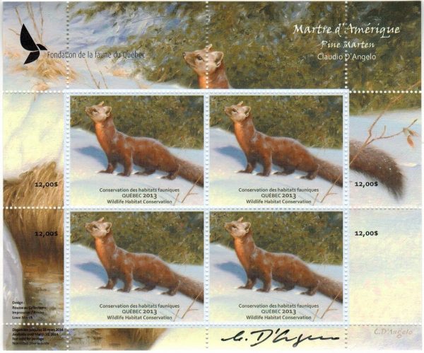 2013 Pine Marten, by Claudio D’Angelo