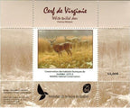 2012 White-tailed Deer by Patrice Wolput