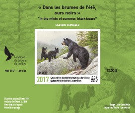 2017 In the mists of summer, black bears by Claudio D’Angelo