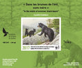 2017 Dans les brumes de l’été, ours noirs de Claudio D’Angelo