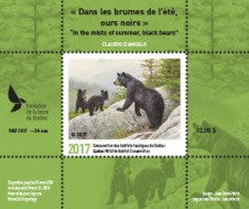 2017 In the mists of summer, black bears by Claudio D’Angelo
