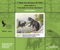 2017 In the mists of summer, black bears by Claudio D’Angelo