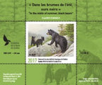 2017 In the mists of summer, black bears by Claudio D’Angelo